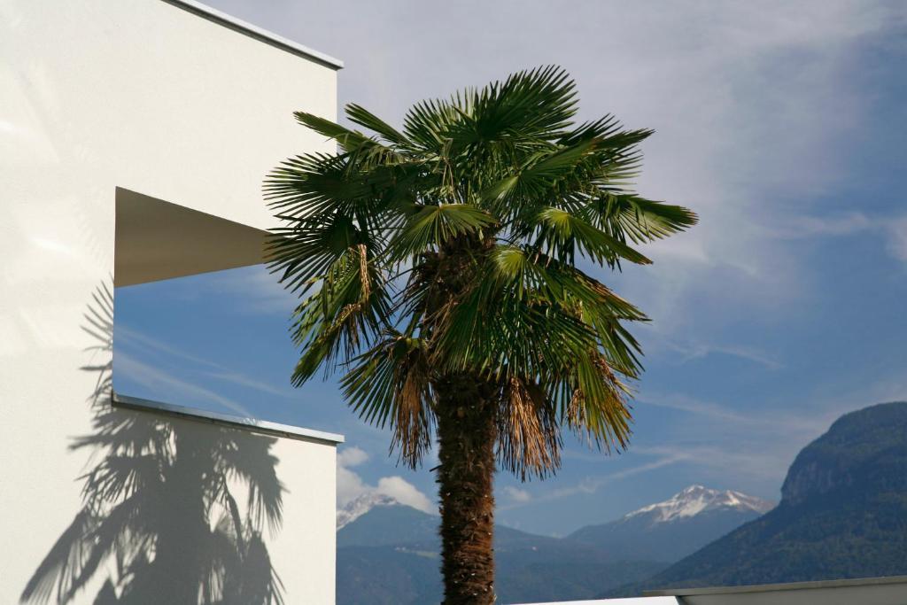 Hotel Residence Pernhof Tramin an der Weinstraße Exteriör bild